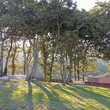 Casa Rustica O Facho Villa Hio Dış mekan fotoğraf